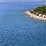 dalmatian stars homes